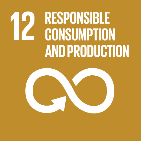 SDG 12: Responsible Production & Consumption